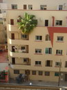 maroc immeuble Palmier dans facade d'immeuble