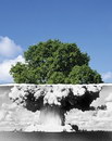 champignon arbre Mort et vie