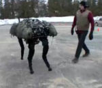 robot boston BigDog le chien robot a grandi