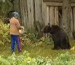 femme attaque Un ours attaque une femme