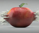 slow Balle en Mûre traverse une pomme