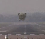 aeroport piste Atterrissage d'un éléphant