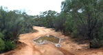 eau flaque Australie dans une flaque d'eau