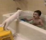 enfant eau bain Chaton trop curieux