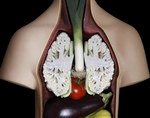 corps humain anatomie L'anatomie avec des légumes