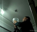homme plafond Araignée géante au plafond