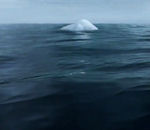 ours polaire rechauffement Iceberg (Greenpeace)