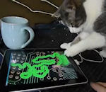 ipad apple ecran Un chat joue avec un iPad