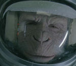 espace planete terre Space Monkey