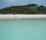 bahamas plage Cochonnes dans l'eau