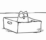 boite carton Le chat de Simon et la boîte en carton