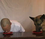 chien nourriture manger Concours de bouffe : Homme vs Chien