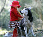 chien husky Le petit chaperon rouge