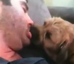 chien dormir bisou French Kiss