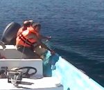sauvetage peche Sauvetage d'une baleine dans un filet de pêche