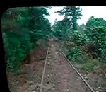 rail Train en forêt