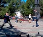 combat oiseau Combat avec des pigeons