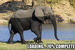 elephant Loading... 70% Complete