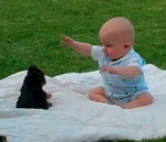 bebe Chiot vs Bébé