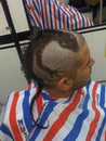 coupe cheveux Un iguane dans les cheveux