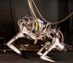 quadrupede robot Cheetah le plus rapide des robots à pattes
