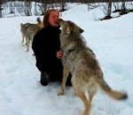 retrouvailles zoo loup Une femme retrouve ses loups
