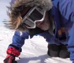 expedition Des friandises au Pôle Sud