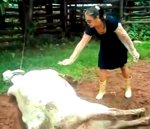 femme coup sabot Coup de pied vache