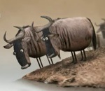animation Wildebeest