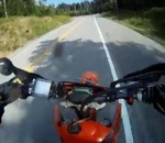 moto motocross collision Une biche et ça repart !