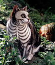 peinture squelette Chat déguisé pour Halloween