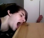 araignee manger Il mange une araignée