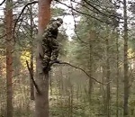branche Sauter d'un arbre