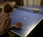 chat Un chat joue au ping-pong
