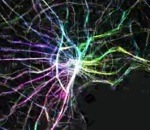 japon Visualisation des flux de personnes à Tokyo le jour du séisme 2011