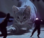 combat corridordigital Kittens On The Beat