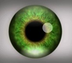 optique Une Illusion d'optique avec un oeil
