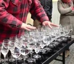 cristal musique Hallelujah jouée avec des verres