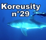 koreusity compilation zap Koreusity n°29