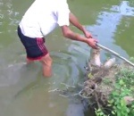 homme eau Canne à pêche électrique