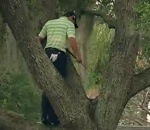 balle golf arbre Jouer au golf dans un arbre