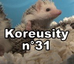 koreusity compilation zap Koreusity n°31