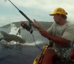 pecheur peche Le pêcheur en kayak et le requin