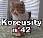 koreusity compilation insolite Koreusity n°42