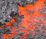 volcan lave Courir sur de la lave