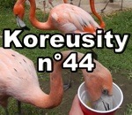 compilation Koreusity n°44