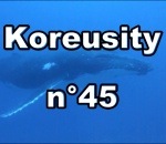 compilation koreusity zap Koreusity n°45