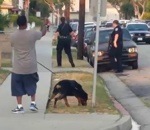 tirer Un policier tire sur un chien