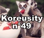compilation Koreusity n°49