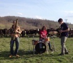 vache champ troupeau Jouer de la musique à des vaches